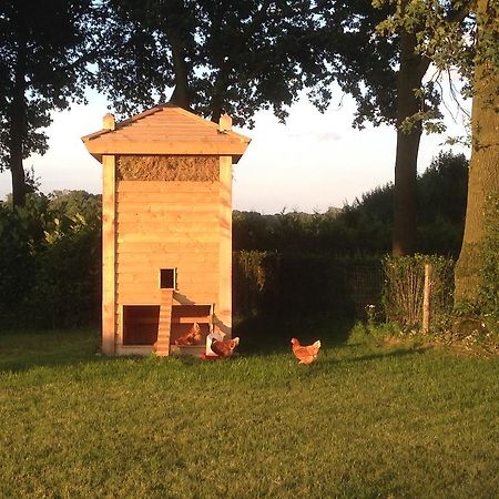 埃尔瑟尔Bed En Boterham Hoeve Boord Ven住宿加早餐旅馆 外观 照片