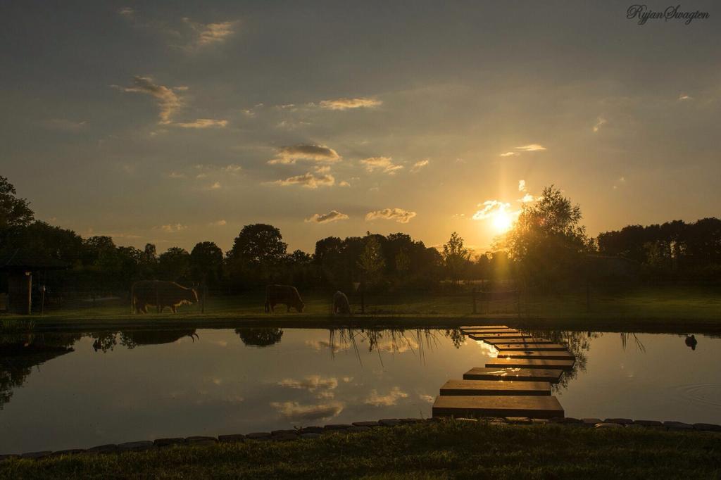 埃尔瑟尔Bed En Boterham Hoeve Boord Ven住宿加早餐旅馆 外观 照片
